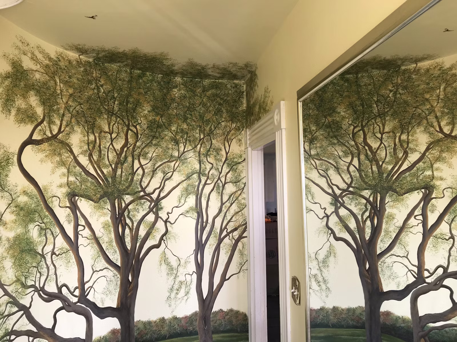 Sticky wallpaper guide